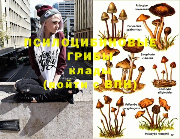 прущая мука Аркадак