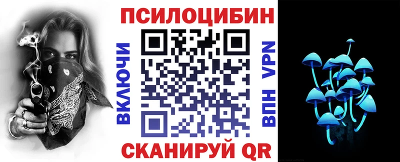 наркота Струнино Псилоцибиновые грибы Cubensis
